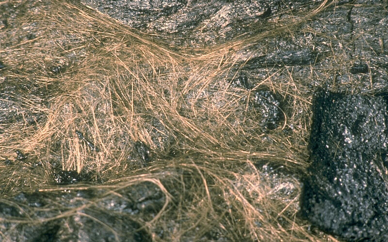 Cheveux de Pélé