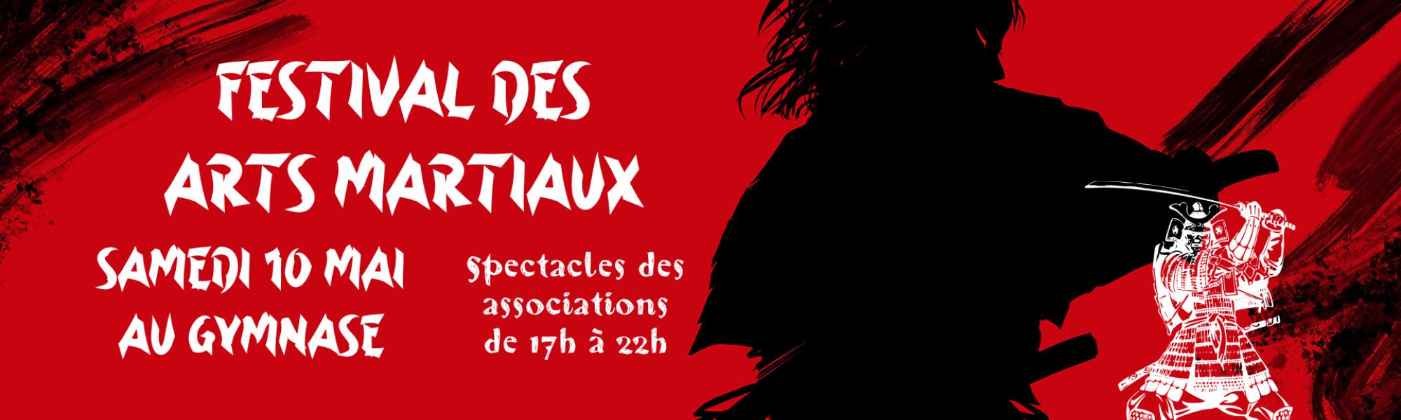 Festival des arts martiaux du samedi 10 mai