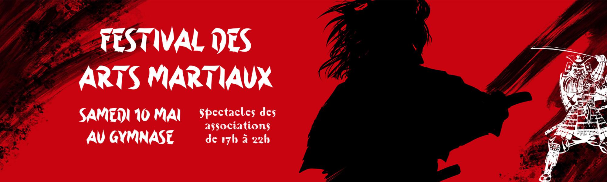 Bandeau festival des arts martiaux