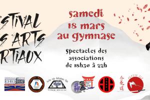Bandeau festival des arts martiaux